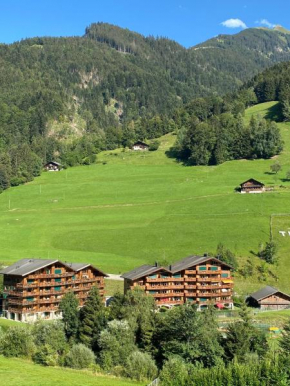 Val D’Illiez mountain apartment.